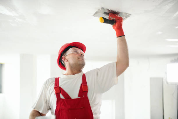 Best Painting for New Construction  in Aurora, OH